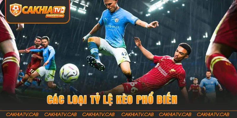 Các loại Tỷ Lệ Kèo phổ biến người mới cần biết 