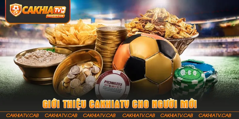 Giới Thiệu CakhiaTV cho người mới 