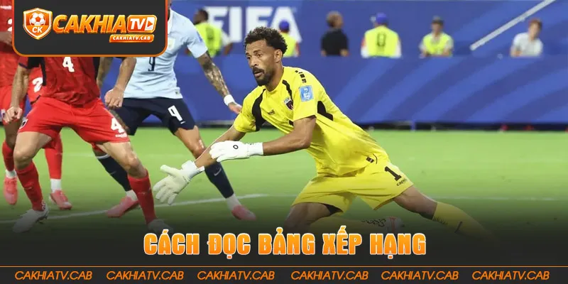 Hướng dẫn cách đọc bảng xếp hạng chính xác