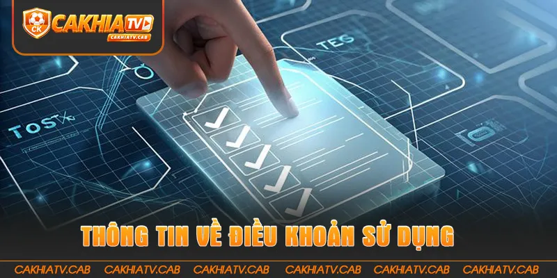 Những thông tin cần biết về điều khoản sử dụng
